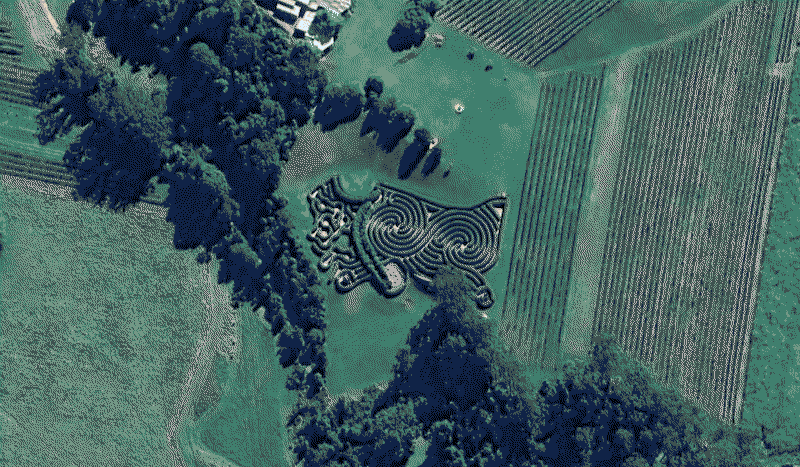Bago Maze and Wine
